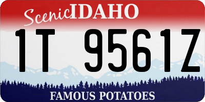 ID license plate 1T9561Z