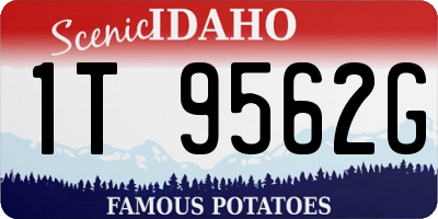 ID license plate 1T9562G