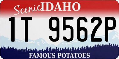 ID license plate 1T9562P