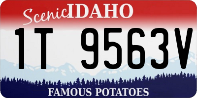 ID license plate 1T9563V