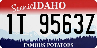 ID license plate 1T9563Z