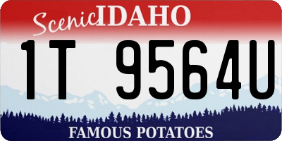 ID license plate 1T9564U