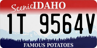 ID license plate 1T9564V