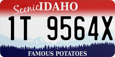 ID license plate 1T9564X