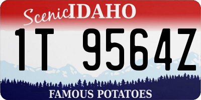 ID license plate 1T9564Z