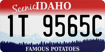 ID license plate 1T9565C
