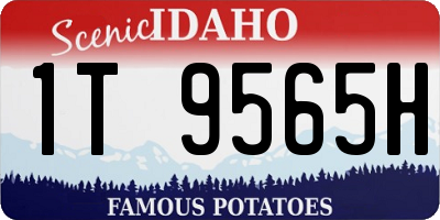 ID license plate 1T9565H