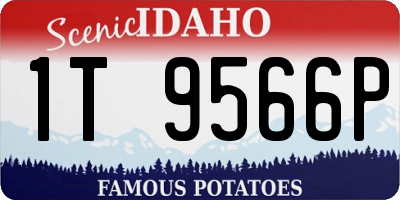 ID license plate 1T9566P