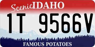 ID license plate 1T9566V