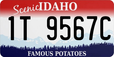 ID license plate 1T9567C