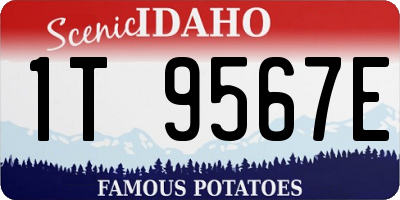 ID license plate 1T9567E