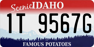 ID license plate 1T9567G
