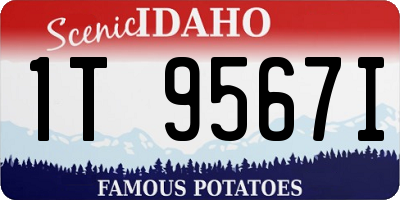 ID license plate 1T9567I