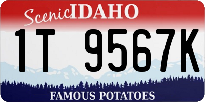 ID license plate 1T9567K