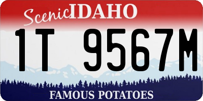 ID license plate 1T9567M