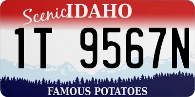 ID license plate 1T9567N
