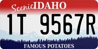 ID license plate 1T9567R