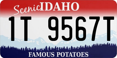 ID license plate 1T9567T