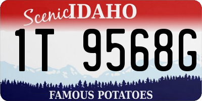 ID license plate 1T9568G