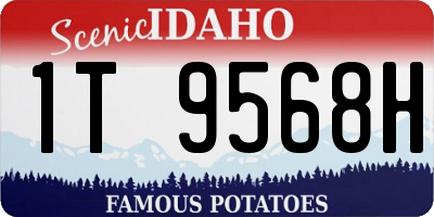 ID license plate 1T9568H