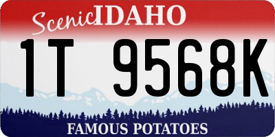 ID license plate 1T9568K