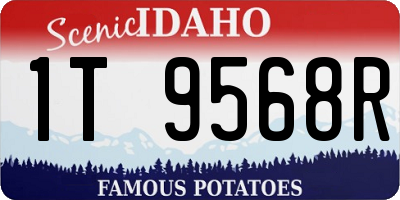 ID license plate 1T9568R