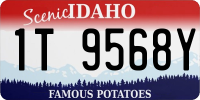 ID license plate 1T9568Y