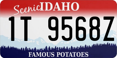 ID license plate 1T9568Z