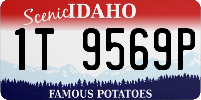 ID license plate 1T9569P