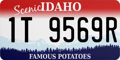 ID license plate 1T9569R