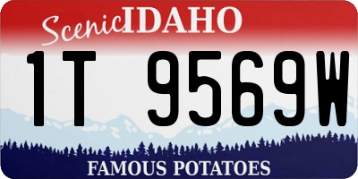ID license plate 1T9569W