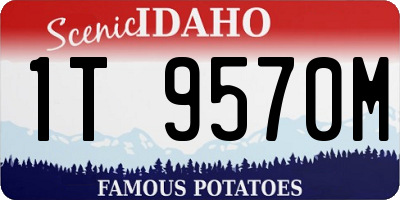 ID license plate 1T9570M