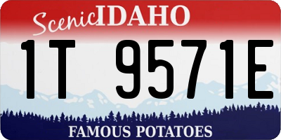 ID license plate 1T9571E