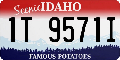 ID license plate 1T9571I