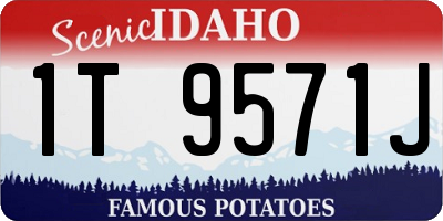 ID license plate 1T9571J