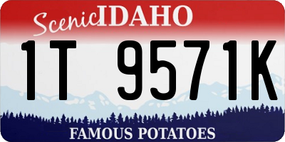 ID license plate 1T9571K