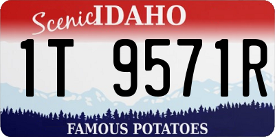 ID license plate 1T9571R