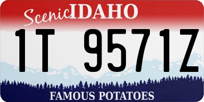 ID license plate 1T9571Z