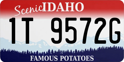 ID license plate 1T9572G