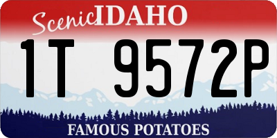 ID license plate 1T9572P