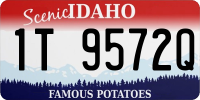 ID license plate 1T9572Q