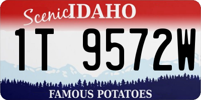 ID license plate 1T9572W