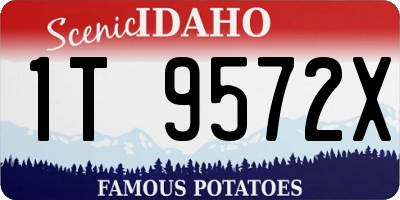 ID license plate 1T9572X