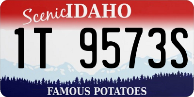 ID license plate 1T9573S