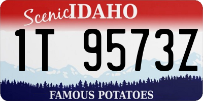 ID license plate 1T9573Z