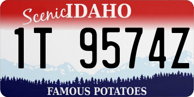 ID license plate 1T9574Z