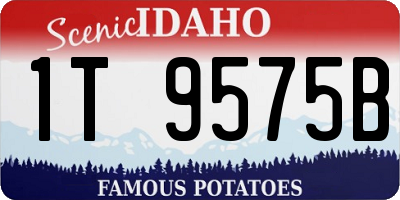 ID license plate 1T9575B