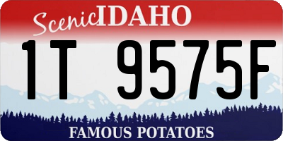 ID license plate 1T9575F