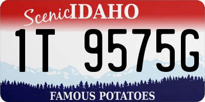 ID license plate 1T9575G