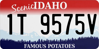 ID license plate 1T9575V